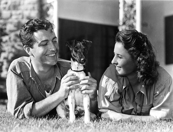Barbara Stanwyck and Robert Taylor with dog