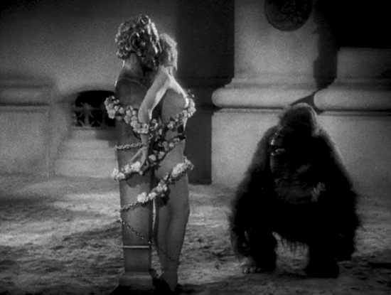 Image result for sign of the cross gorilla