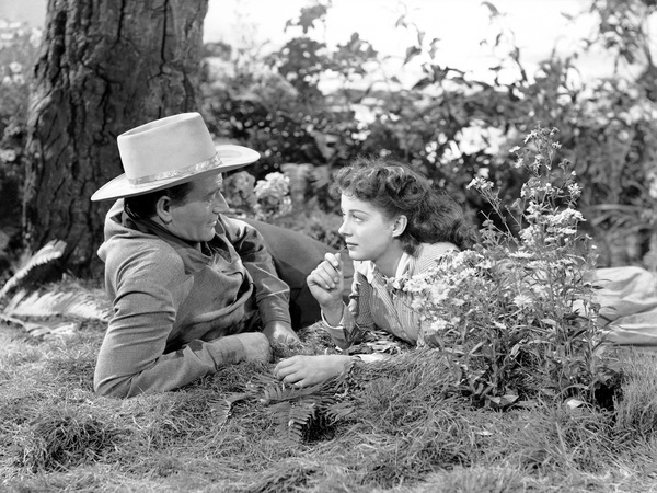 Western Roundup John Wayne Favorites Classic Movie Hub Blog