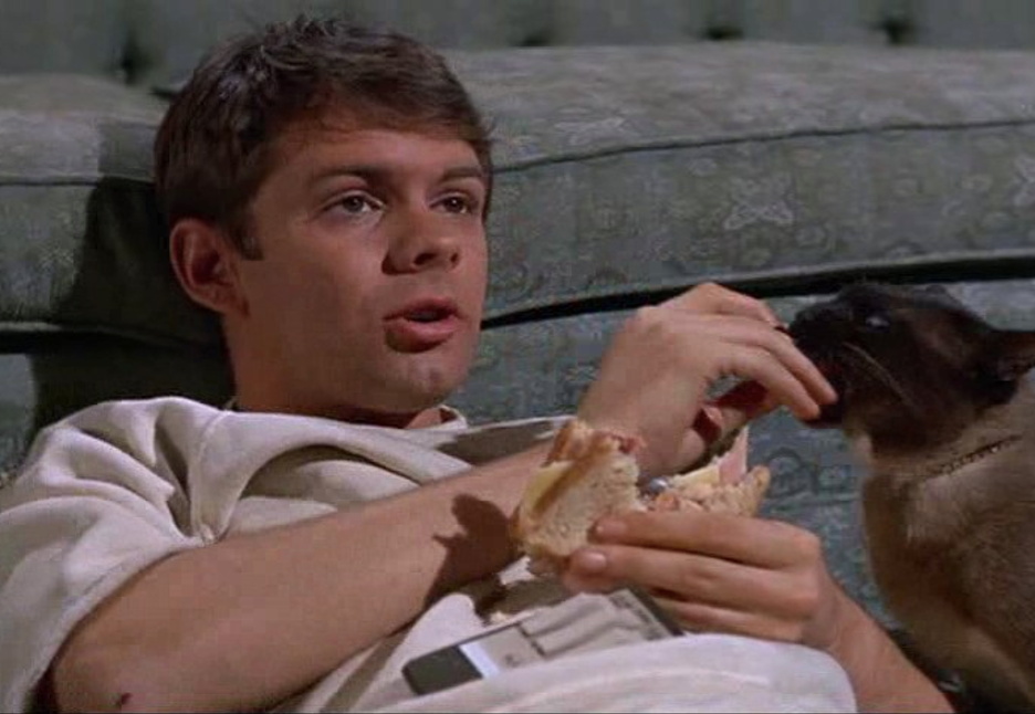 Tom Lowell in That Darn Cat! (1965)