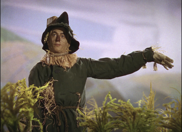 Wizard of Oz Scarecrow