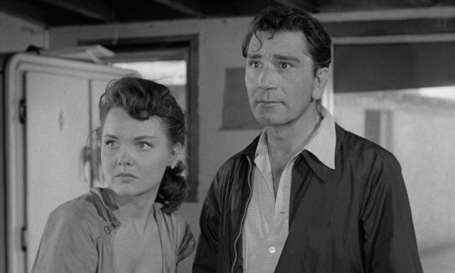 Richard Conte and Wanda Hendrix in Highway Dragnet (1954)