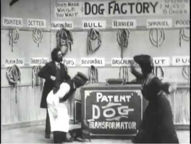 Dog Factory (1904).