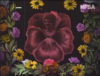 The Flower Fairy (1905).